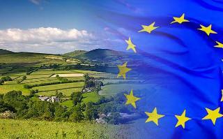 flower remedies from Devon shipped to Europe