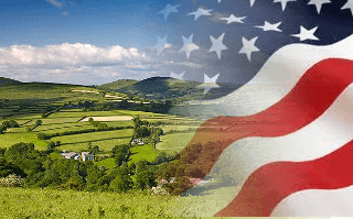 flower remedies from Devon shipped to usa
