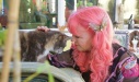 clare_met_1