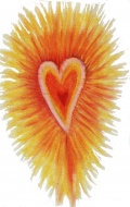radiancehand_drawn